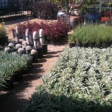 Area code 213 serves the los angeles downtown area which is surrounded by area code 323. Best Garden Centers In Los Angeles Cbs Los Angeles