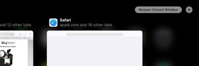 Accidentally Closed All Safari Tabs Poss Apple Community