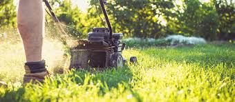 When we refer to transplanting, we mean the act of moving seedlings or small plants from their pots outside into the garden soil. With All This Rain How Should I Be Mowing My Wet Lawn