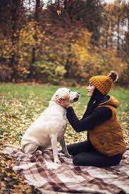 idei dlya foto s zhivotnymi animals photo dogs