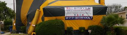Knows better than anyone what it takes to get rid of pests. 1st Stryke Pest And Termite Control