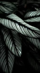 Some of these wallpapers have a resolution of 1125 x 2436 pixels, some have 1436 x 3108 and. The Latest Iphone11 Iphone11 Pro Iphone 11 Pro Max Mobile Phone Hd Wallpapers Free Download Plant Leaves Striped Tropical Free Wallpaper Download Free Cool Backgrounds For Iphone Grey Wallpaper