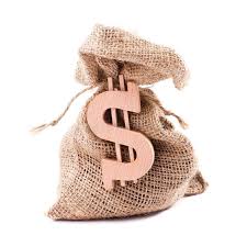New Link Money Bag Money Concepts Bags