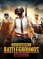 Enter your pubg m player id. Buy Pubg Mobile Uc Instant Delivery L Mtcgame