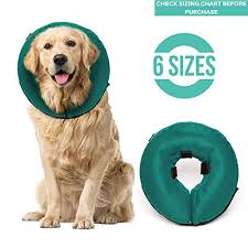 Apparel Accessories Hats Pet Cute Comfy Cone Pet Dog