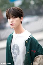The perfect lee chan dino seventeen animated gif for your conversation. Dino Seventeen Profile Age Facts Kpopping
