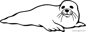 Check spelling or type a new query. Seal Coloring Pages Coloringall