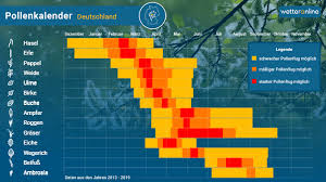 Von ende märz bis mai ist die zeit der birkenpollen. Pollenflug In Der Region Freital Pollenbelastung Aktuell Wetteronline