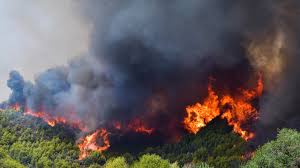 If you're in #profiti_ilia_viliwn evacuate now towards #mandra #attica forest fire in your area #πυρκαγια #φωτια_βιλια #φωτια . Fwtia Konta Stoys Delfoys Perioristhke To Metwpo Anamesa Sto Kroki Kai Sto Libadi Ths Araxwbas