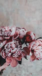 30 aesthetic and vintage iphone wallpaper ideas wallpaperideas see more. Pin By Uykucu Ejderha On Oboi Na Telefon Wallpapers Flower Aesthetic Flower Phone Wallpaper Ftd Flowers