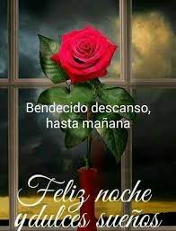 Pin De Silvia Fabian En Frases Buenas Noches Con Flores Postales De Buenas Noches Buenas Noches Dulces Suenos