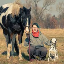 We did not find results for: Barhufpflege In Hannover Hufschuhe Und Blutegel Therapie Fur Tiere