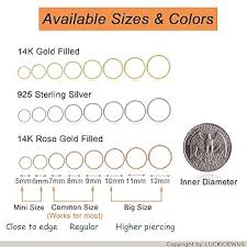 Nose Ring Type And Size Chart: Everything You Need To Know - Yonida'Punani