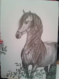 See more ideas about desene artistice, desen, creion. Pictura Si Grafica De Pictor Mihaela Grosan Cal Negru Desen In Creion Pe Carton A3