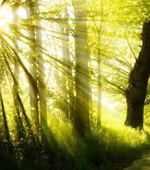 Obituary of Lawrence A. Cairns