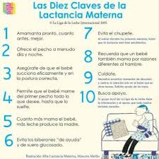 Lactancia Materna Consejos De Supervivencia Para La Mama Primeriza En 2020 Lactancia Materna Lactancia Consejos Para Amamantar