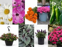 We always find the selection impressive and able to accommodate pretty much any color. C1jlned4nkhmfm