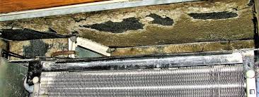 Air conditioners & heat pump air handler mold removal how to clean mold from a window or wall air conditioner or heat pump. Air Conditioner Mold Smelly Air Conditioner Mold In Air Conditioner