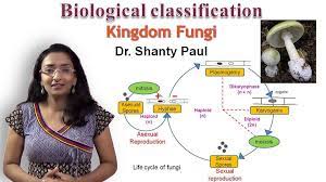 Kingdom Fungi Keywords Kingdom Fungi Class 11 Kingdom Fungi Examples Kingdom Fungi Characteristics Kingdom Fungi Classification Kingdom Fungi Fungi Biology