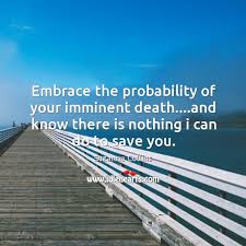 Embrace The Probability Of Your Imminent Death And Know There Is Nothing Idlehearts