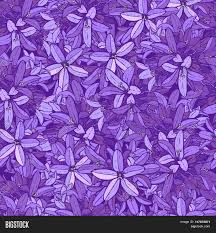 It's a fresh take on vintage floral! Violet Flower Pattern Vector Photo Free Trial Bigstock