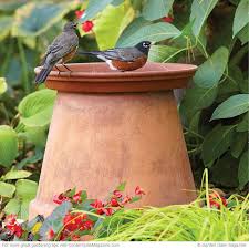 Bird Bath And Feeder Combo Flower Pot Birdbath Diy Bird Bath Bird Garden Garden Projects