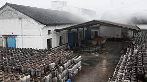 A Taste Of Rice Wine In Shaoxing Zhejiang Cgtn