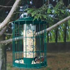 Caged Bird Feeders For Small Birds Uk Squirrel Proof Feeder Caged Bird Feeders Squirrel Proof Bird Feeders Bird Feeders