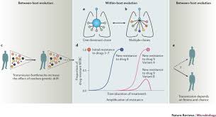 The journal publishes original research and reviews on the host response and immunology of tuberculosis and the molecular biology. Ecology And Evolution Of Mycobacterium Tuberculosis Nature Reviews Microbiology