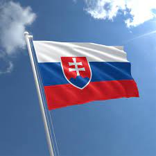 Free for commercial use no attribution required high quality images. Small Slovakia Flag Buy Small Slovakian Flag The Flag Shop