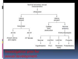 Flow Charts For Gynaecological Conditions