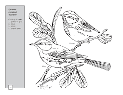 We have other color by numbers including addition, holidays like easter and christmas and some for adults. Pin On Adult Coloring Pages