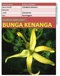 Check 'kenanga' translations into english. Bunga Melayu Bhg 1 The Secrets Of The Malay World Facebook