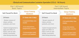 Health professionals must become ibcle certified before they can practice as a lactation consultant. How To Become An Ibclc The Breastfeeding Center Of Ann Arbor