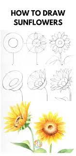 Check spelling or type a new query. How To Draw Sunflowers In 2021 Beautiful Flower Drawings Flower Art Drawing Flower Drawing
