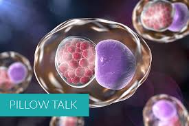 Image result for Chlamydia Trachomatis