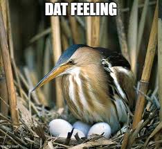 When You Re Just Chilling And The Spleen Hits You Hard Such As A Bitter Coffee 9gag