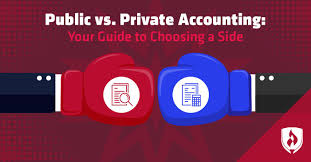 Public Vs Private Accounting Your Guide To Choosing A Side
