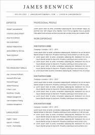 25 Resume Templates For Google Docs Free Download