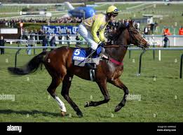 Erics charm hi-res stock photography and images