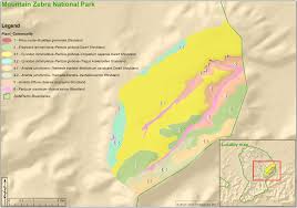 Image result for Tragus koelerioides