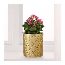 Vindflakt Gold Colour Vase Diameter 11 Cm Ikea Gold Flower Pot Ikea Plants Ikea Vases