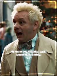 The Truth About Crowley: Disaster Puppy Revealed