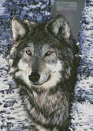 Check spelling or type a new query. Grey Wolf Cross Stitch Pattern By Tereena Clarke Crosstitch Com