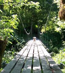 The anchors pull outward on the towers with an equal force to that of the deck. Building A Small Cable Suspension Bridge The Basics Plus A Video Demo 10 Steps With Pictures Instructables