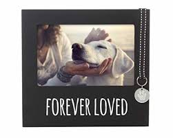 Usually ships within 1 to 3 weeks. Memorial Pet Gifts 2020 Pet Remembrance And Sympathy Gifts