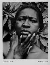 Edward Dry's Instagram, Twitter & Facebook