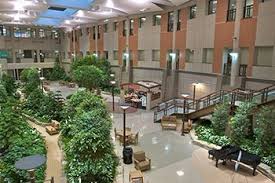 The Plant Filled Main Atrium Of The Henry Ford Hospital In West Bloomfield Mich Acts As The Facility S Lungs Healing Garden Healthcare Design Interior Garden