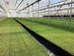 Take control of hunger and support healthy weight goals with a. Substrate Handling Influences Water Holding Capacity