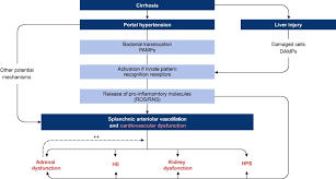 This article provides a brief and practical. Easl Clinical Practice Guidelines For The Management Of Patients With Decompensated Cirrhosis Journal Of Hepatology